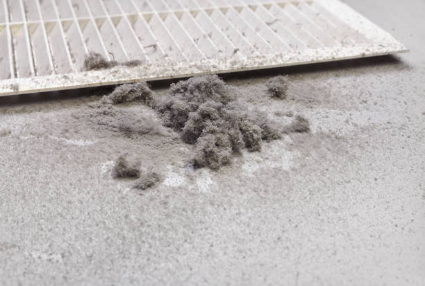 Best Emergency Air Duct Cleaning  in Homer, LA