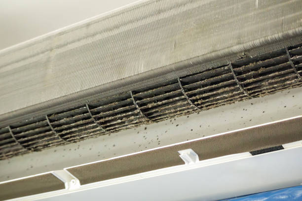Best Air Duct Cleaning Company Near Me  in Homer, LA